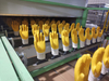 Yellow & Blue Nitrile Dipping